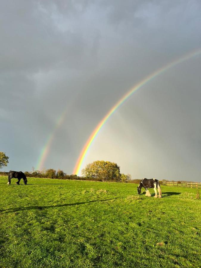Appaloosa Suite With Amazing Views Of Stud Farm. Driffield Exterior photo